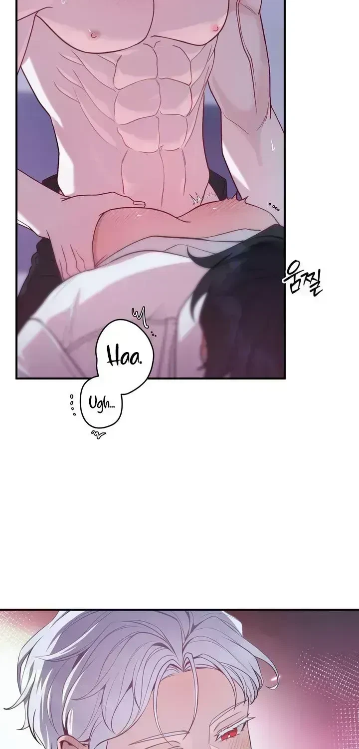 Chapter 2.8, page 22