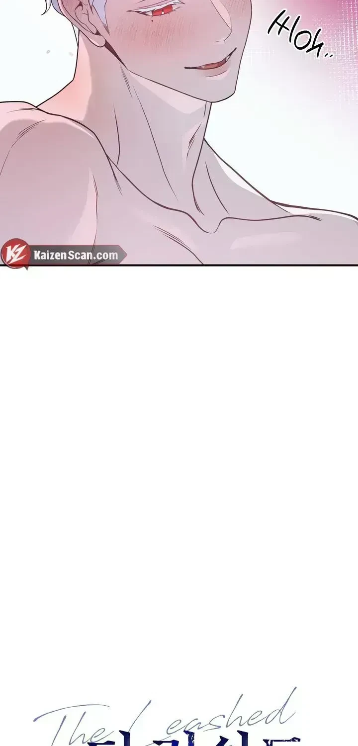 Chapter 2.8, page 23