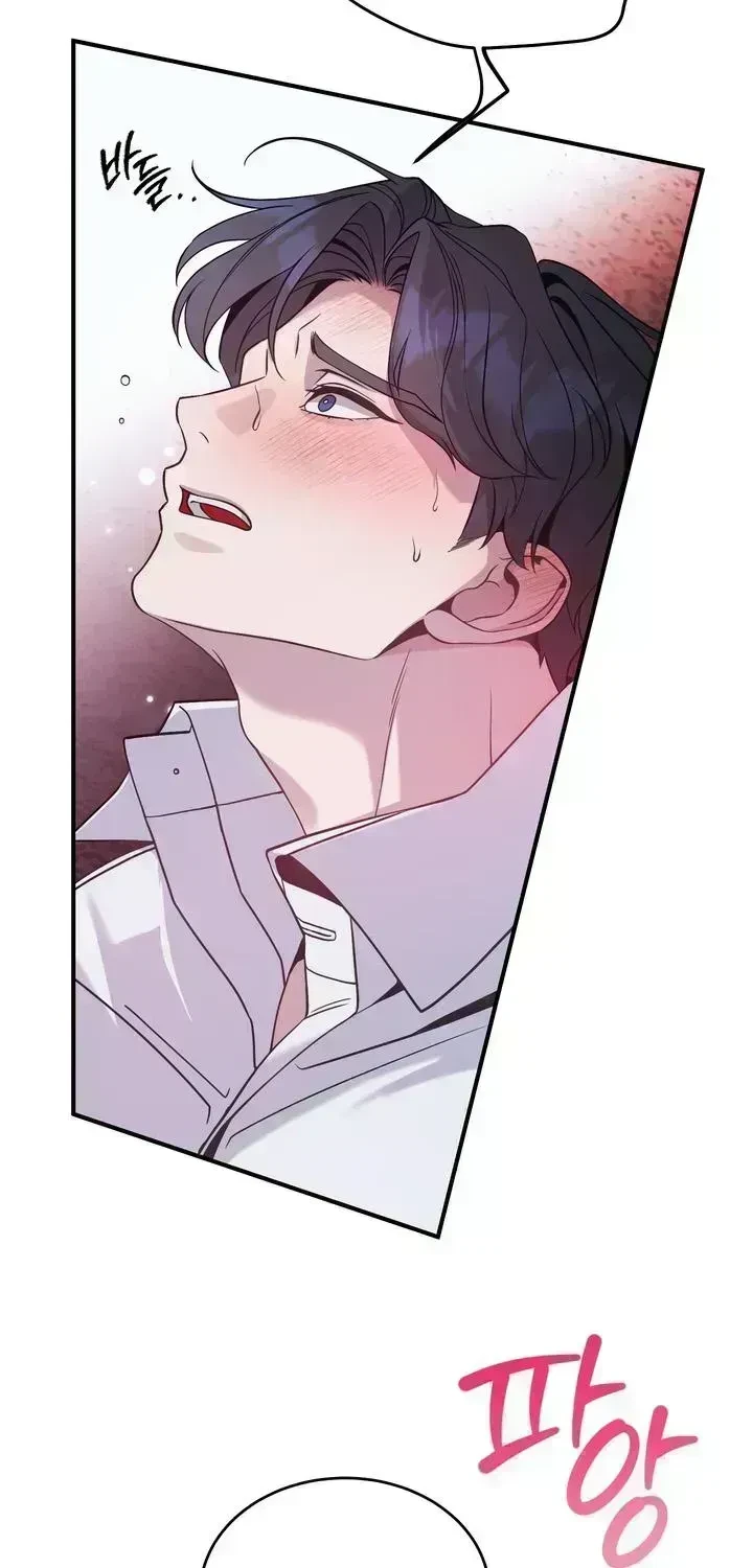 Chapter 2.8, page 48