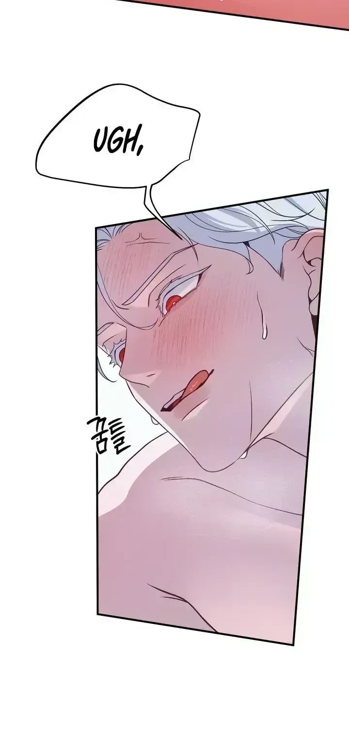 Chapter 2.8, page 62
