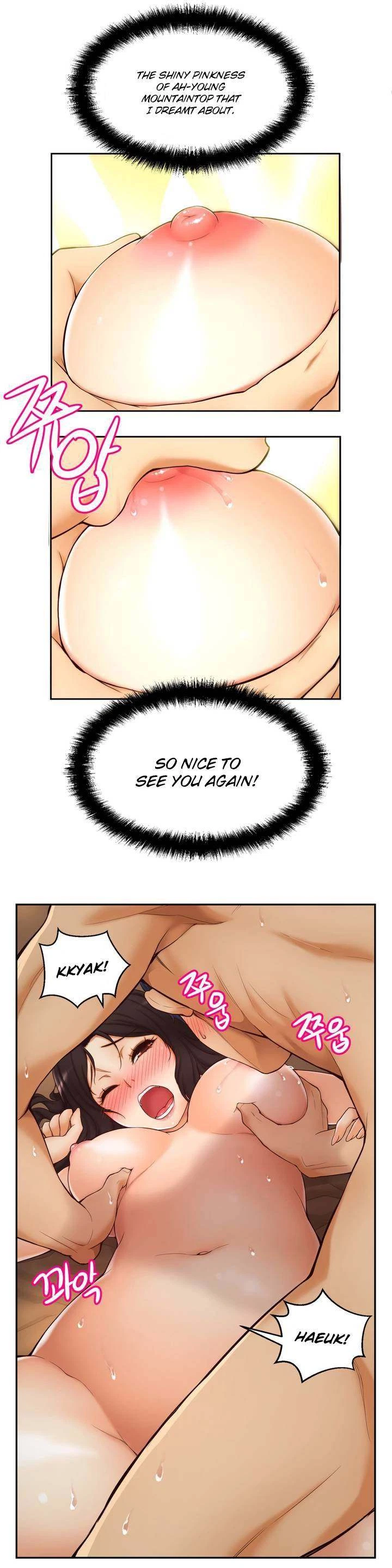 Chapter 1, page 27