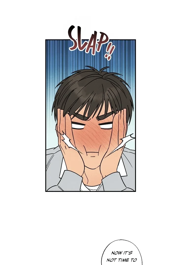 Chapter 1, page 65