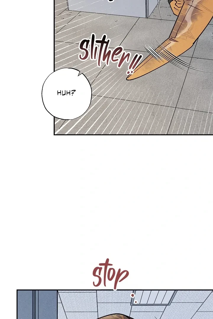 Chapter 1, page 67