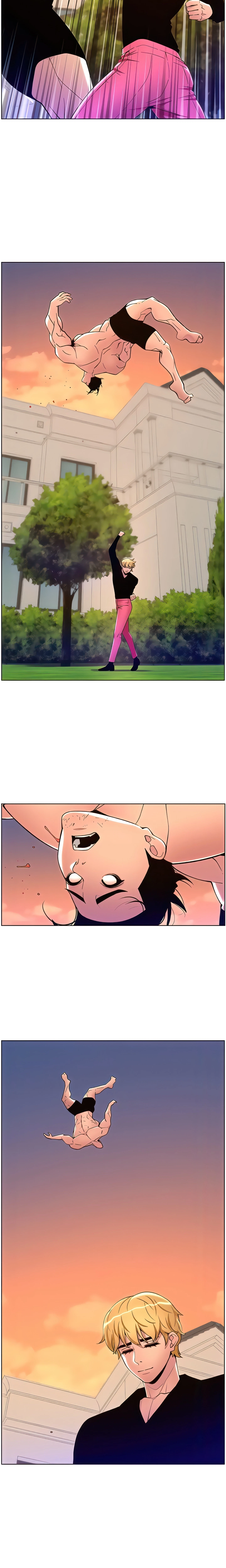 Chapter 88, page 13