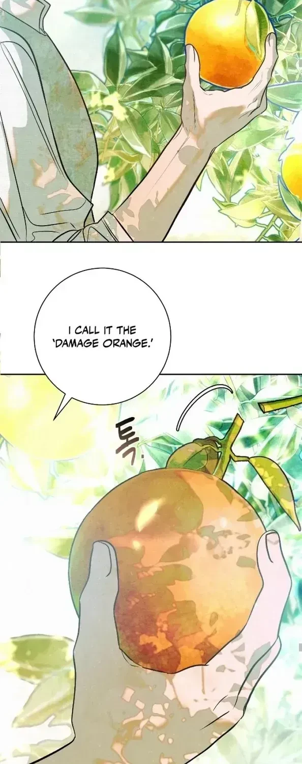 Chapter 3, page 31