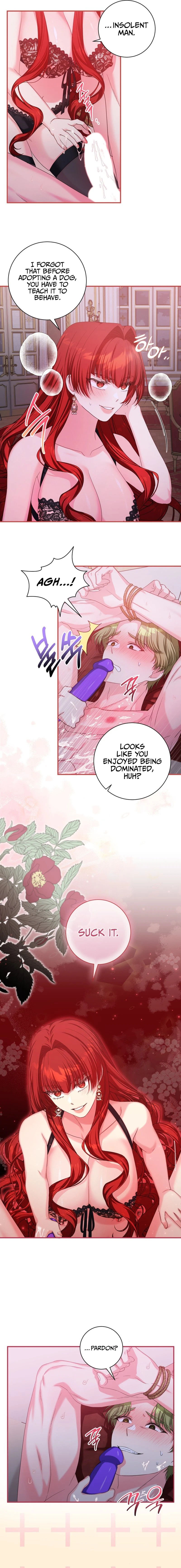 Chapter 2, page 5