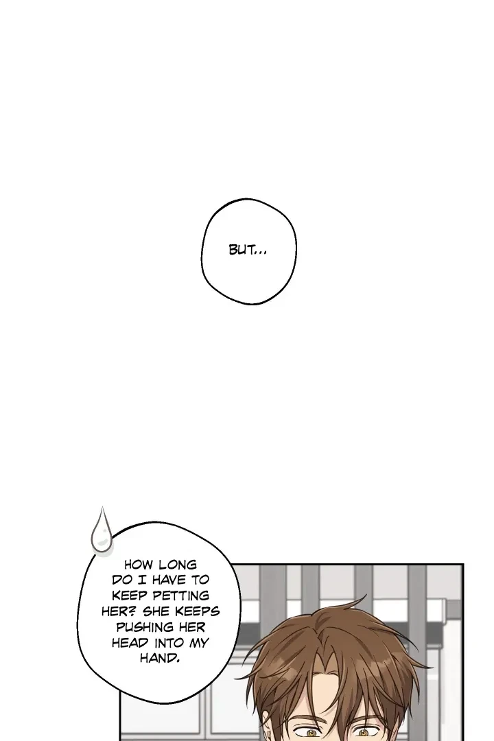 Chapter 31, page 21