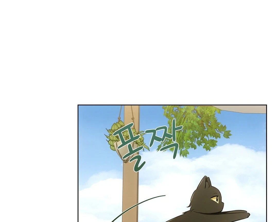 Chapter 12, page 89