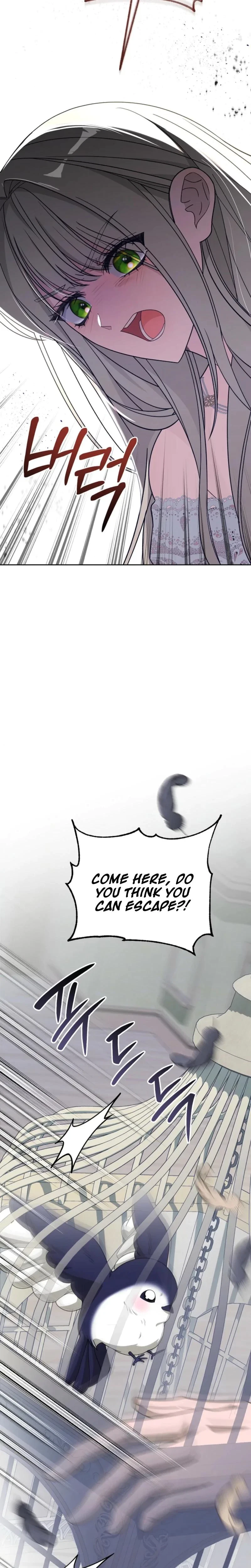 Chapter 2, page 31
