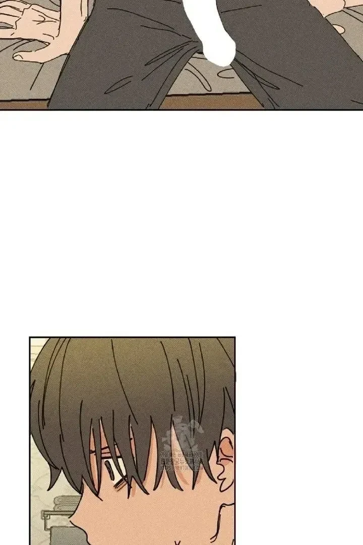 Chapter 4, page 15