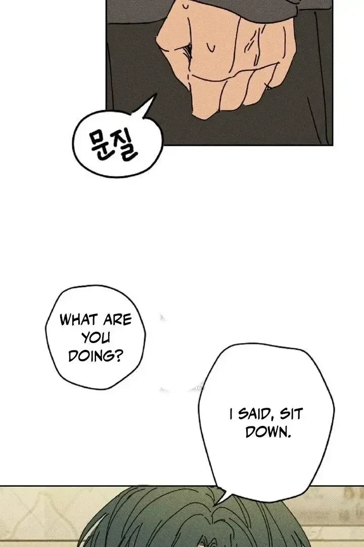 Chapter 4, page 17