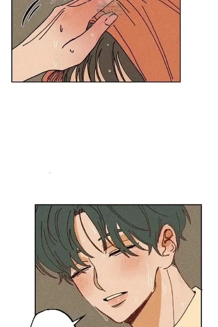 Chapter 4, page 63