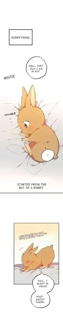 Chapter 1, page 11