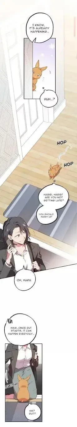 Chapter 1, page 13