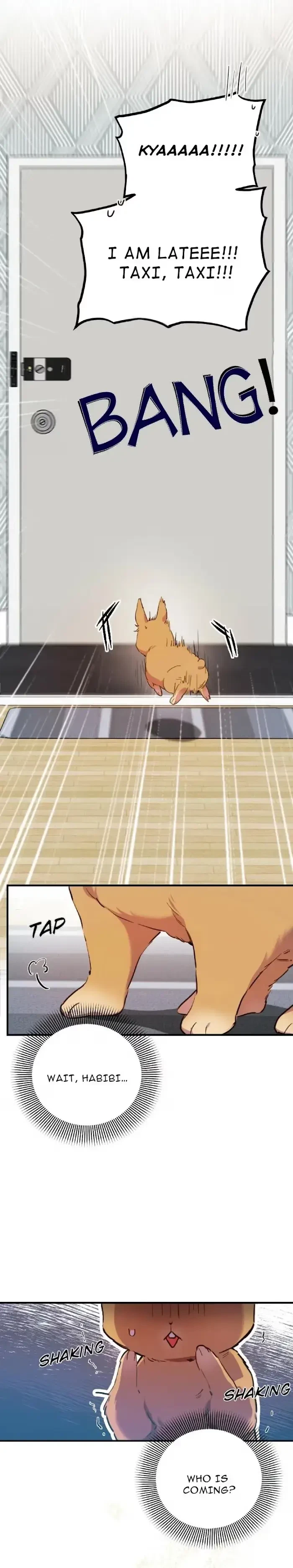 Chapter 1, page 17