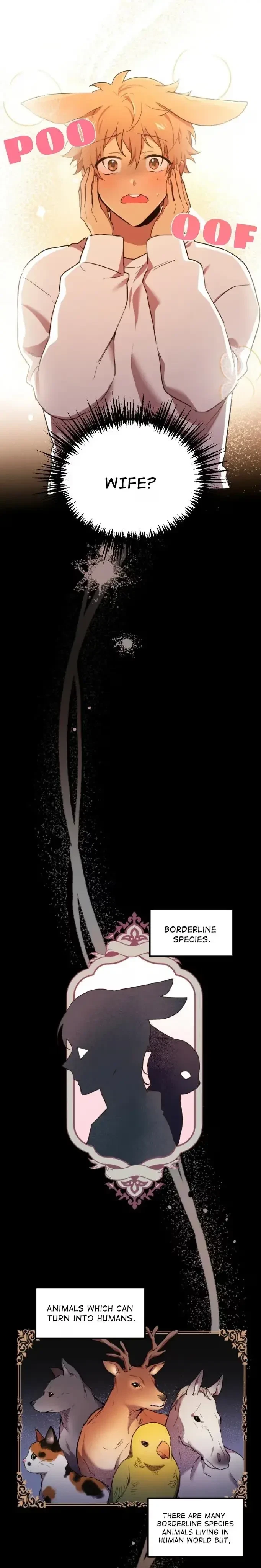 Chapter 1, page 18