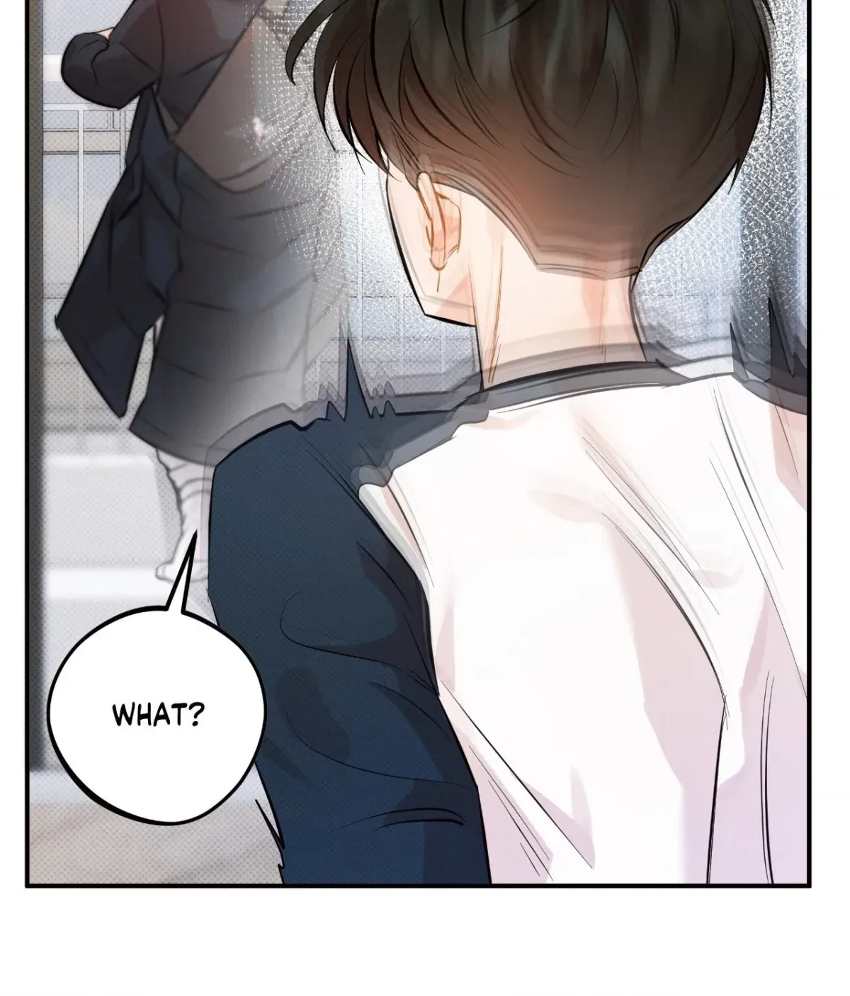 Chapter 13, page 101