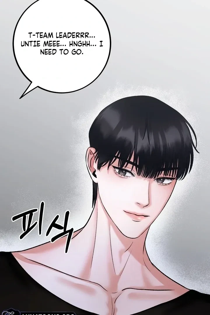 Chapter 3, page 64