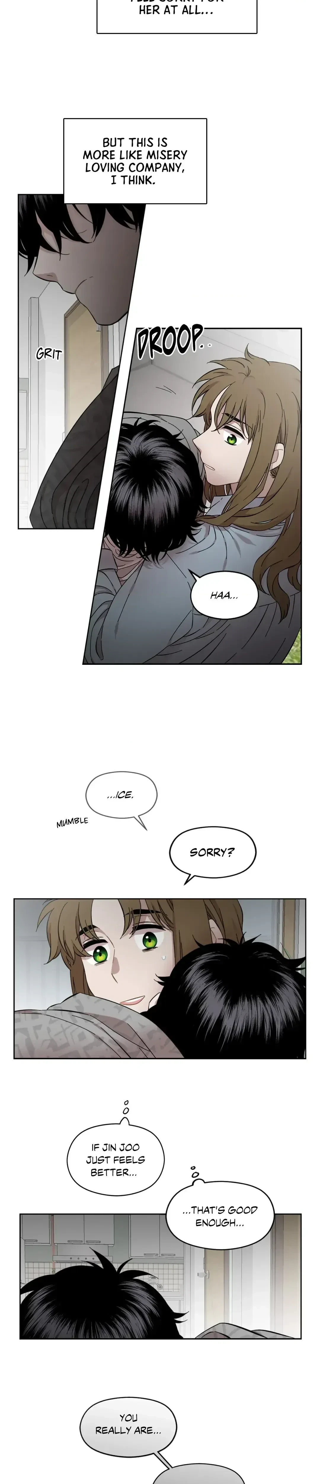 Chapter 4, page 20