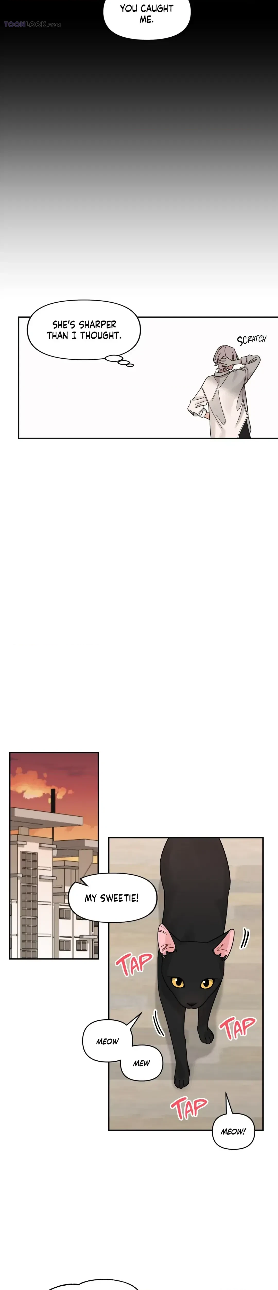 Chapter 14, page 8