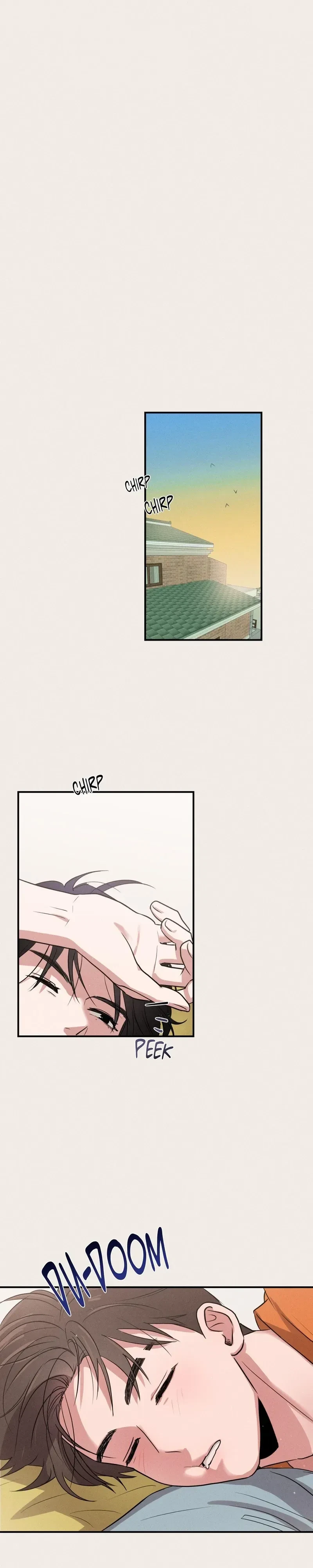 Chapter 4, page 15