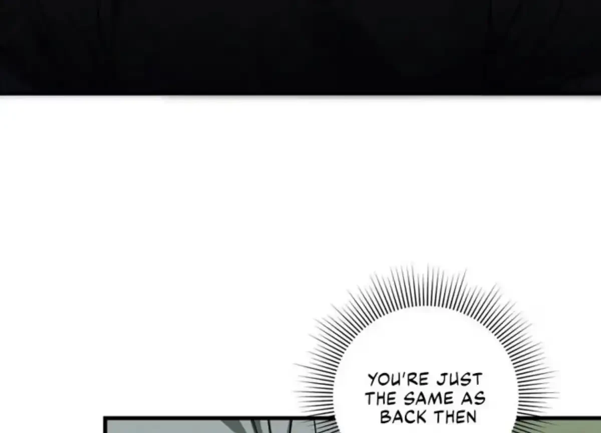 Chapter 2.1, page 20
