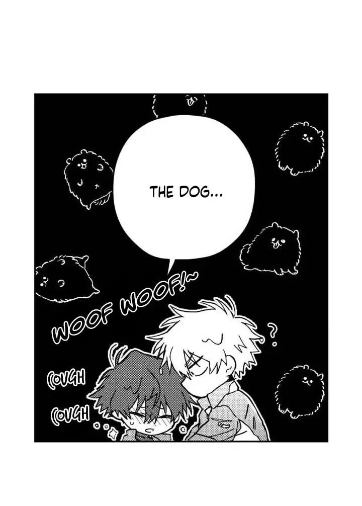 Chapter 1.1, page 52