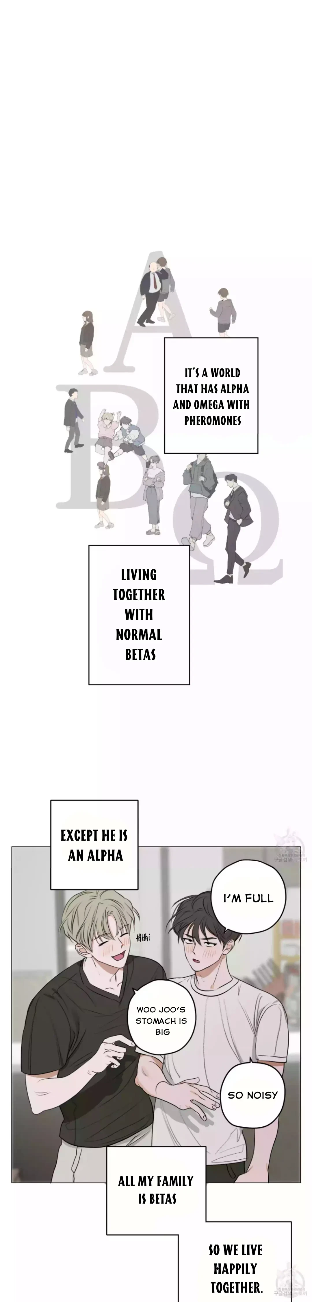 Chapter 1, page 17