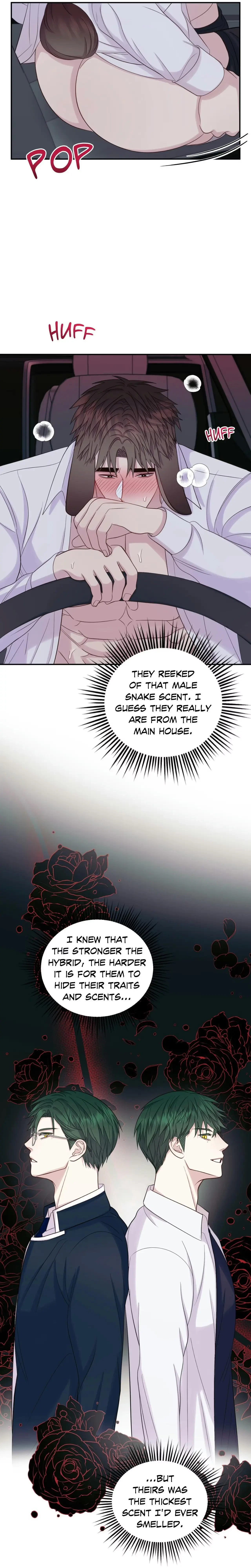 Chapter 3, page 5