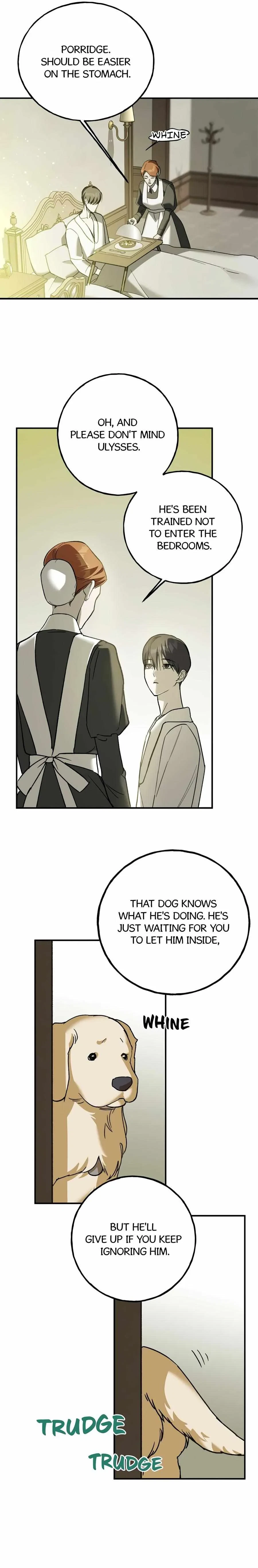 Chapter 11, page 21