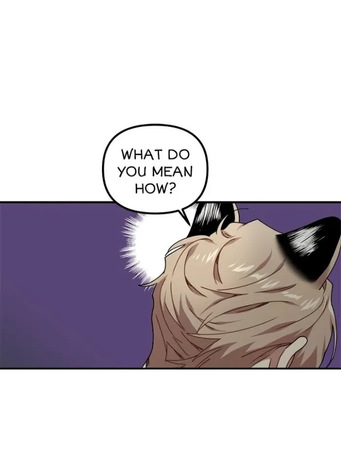 Chapter 19, page 29