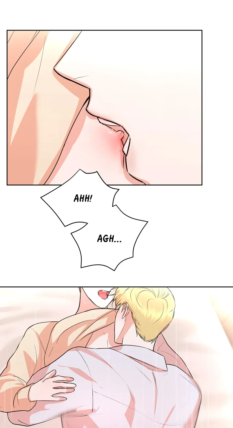 Chapter 2.1, page 46