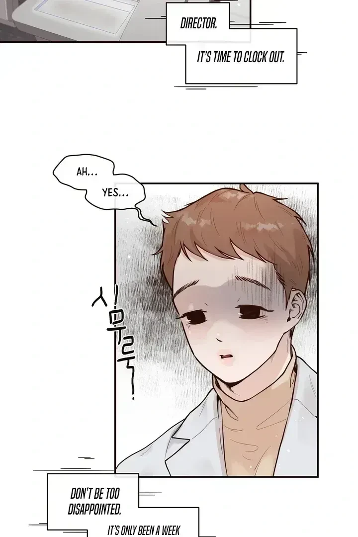 Chapter 1.3, page 7