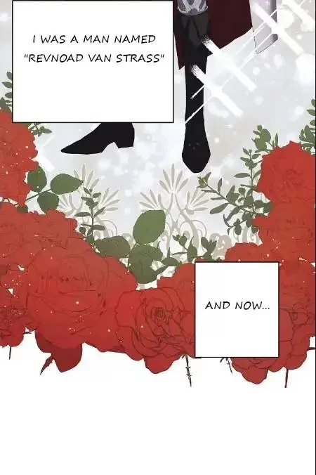 Chapter 2, page 11