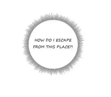 Chapter 2, page 46