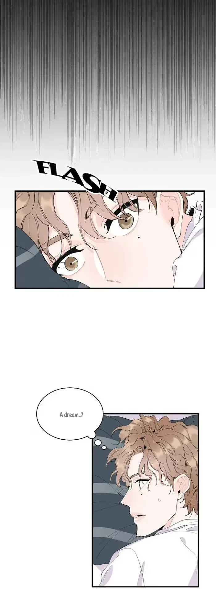 Chapter 1, page 19