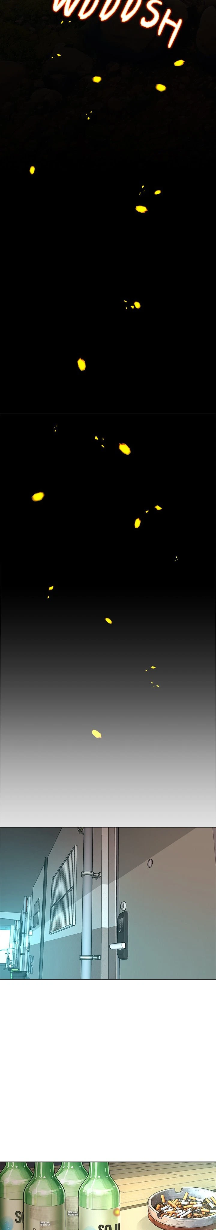 Chapter 1, page 20