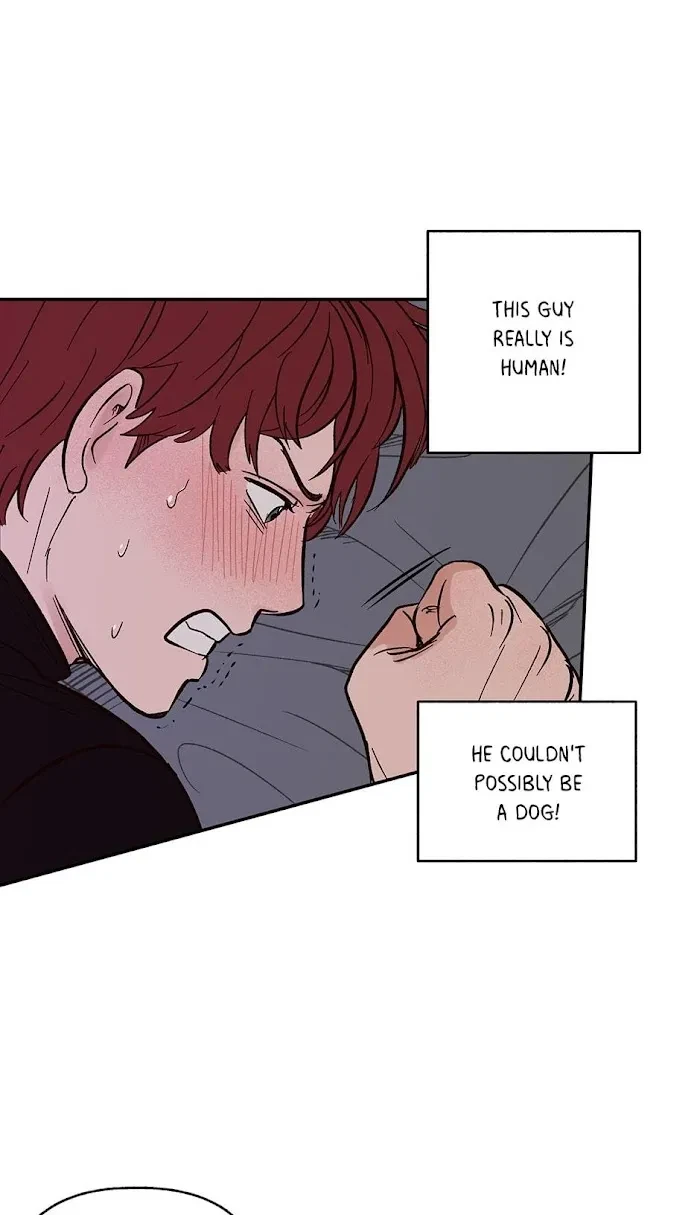 Chapter 0.4, page 14