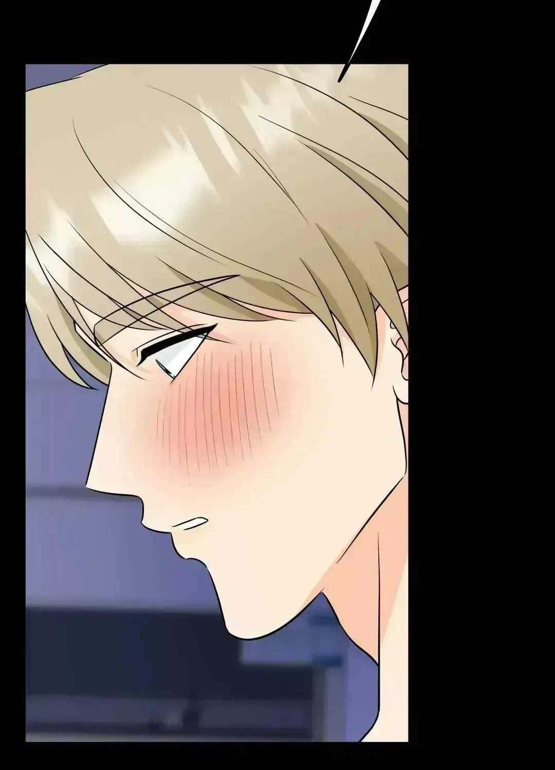 Chapter 2.6, page 48