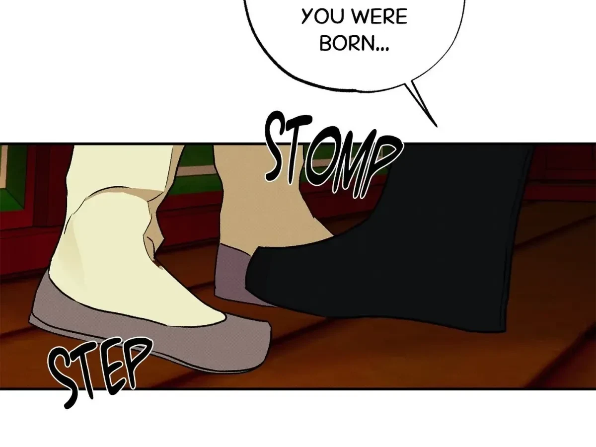 Chapter 3, page 13