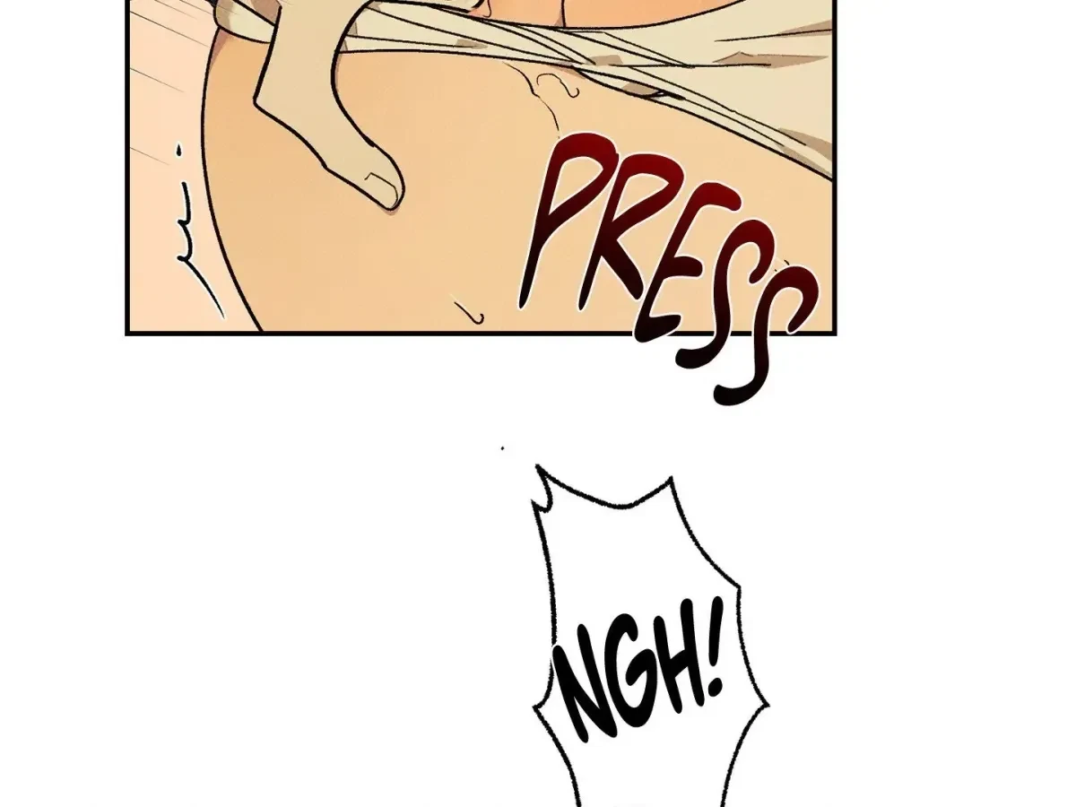 Chapter 3, page 66