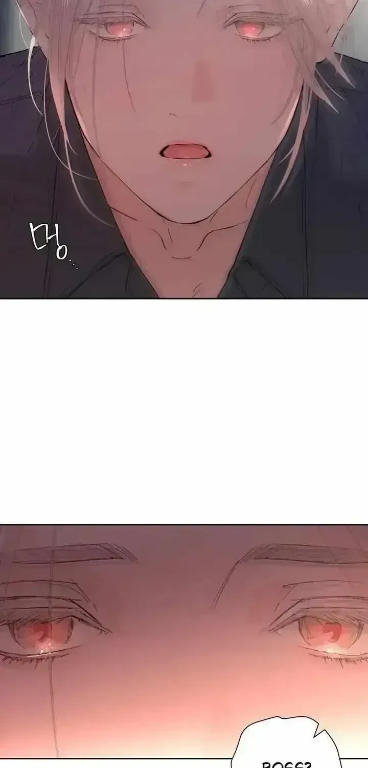 Chapter 1.4, page 39