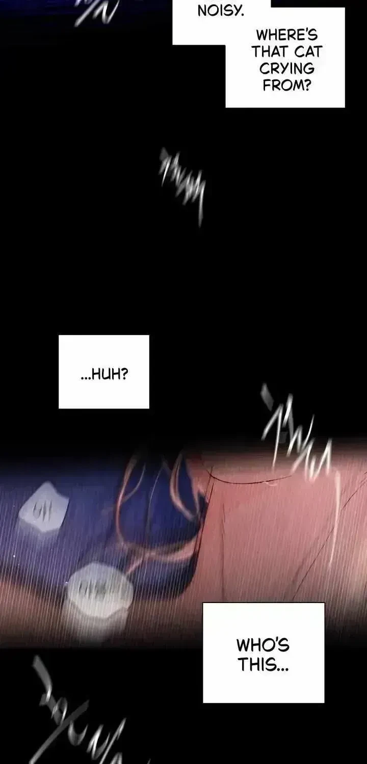 Chapter 1.4, page 54