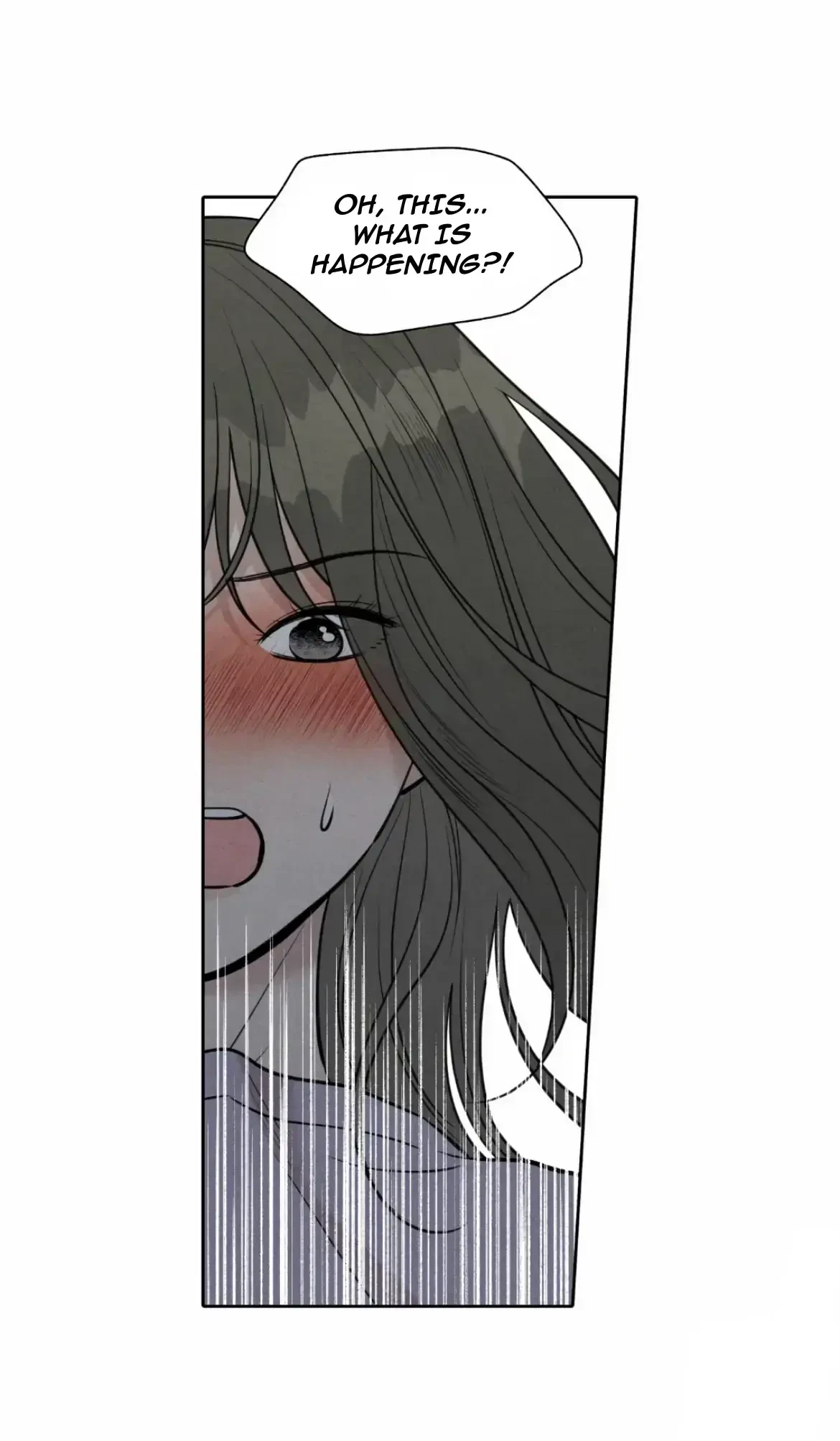 Chapter 2, page 17