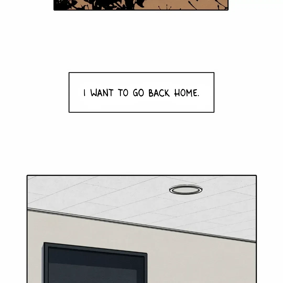 Chapter 2, page 46