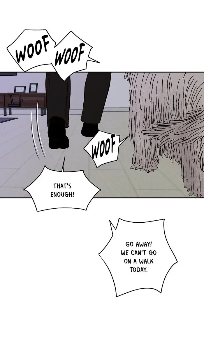 Chapter 0.1, page 13