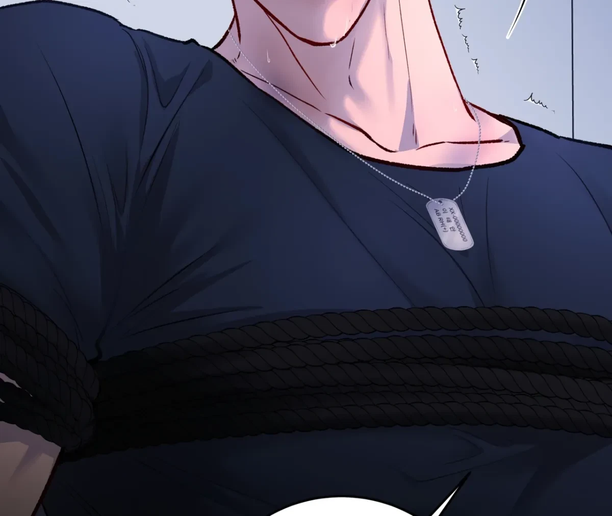 Chapter 1, page 13