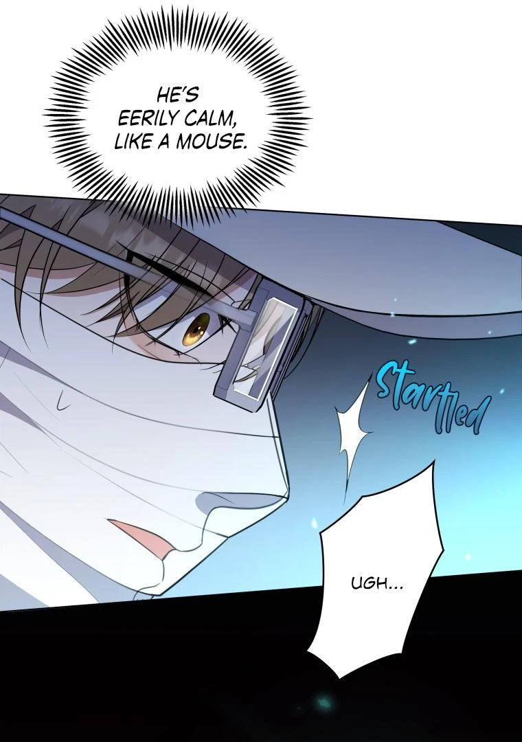 Chapter 3, page 49