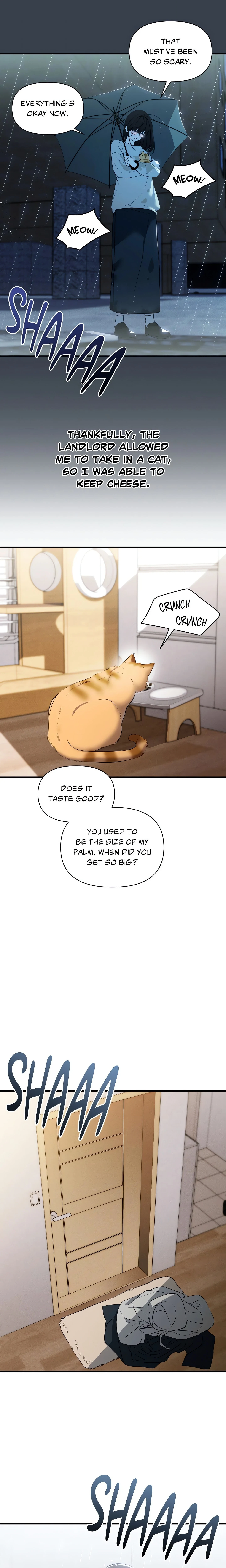 Chapter 2, page 20