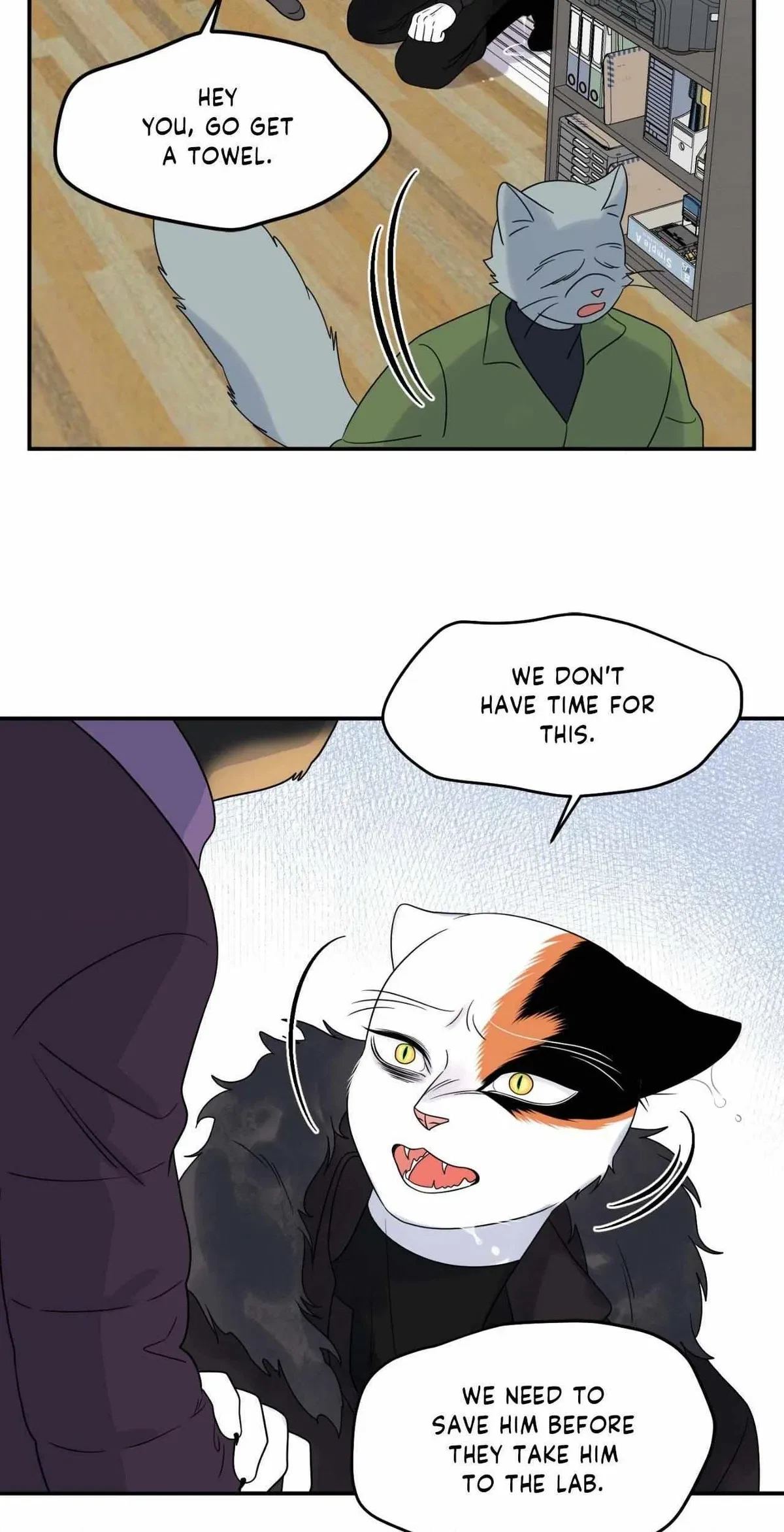 Chapter 55, page 12
